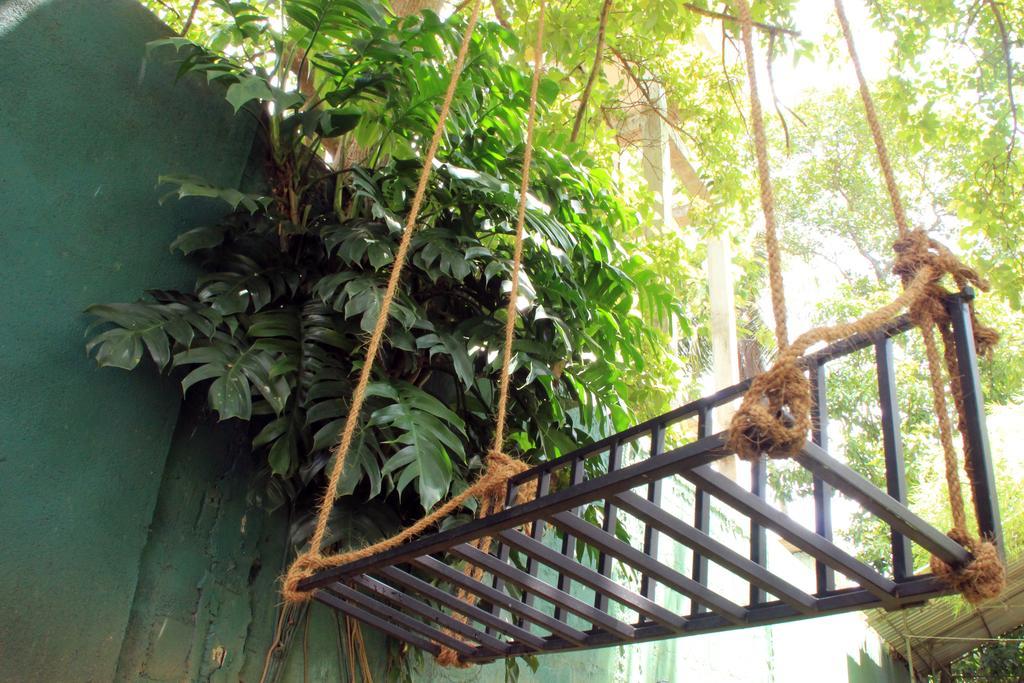 Flipflop Hostel เนกอมโบ ภายนอก รูปภาพ